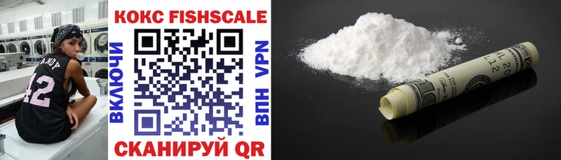 Cocaine FishScale  цена наркотик  Ядрин 