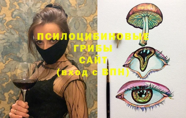 гидра Магас
