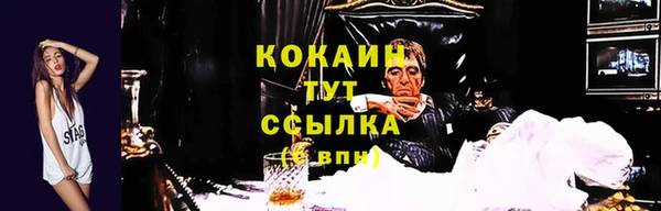 мяу мяу мука Майский
