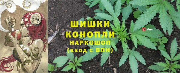 гидра Магас