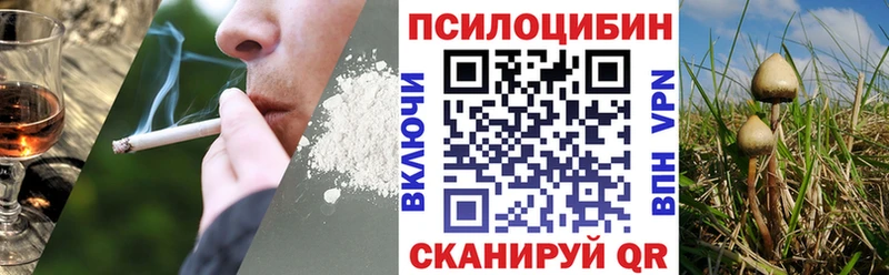 Галлюциногенные грибы Psilocybine cubensis  Ядрин 